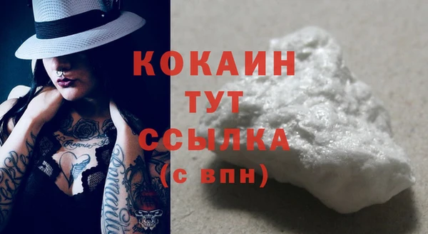 индика Семилуки