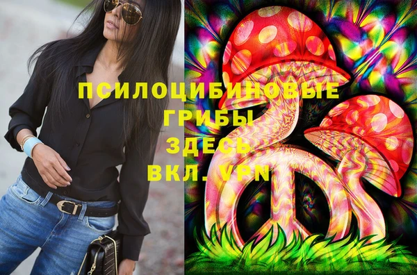 индика Семилуки
