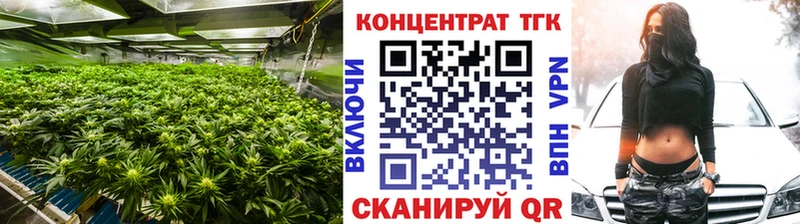 KRAKEN   где найти наркотики  Ардатов  ТГК вейп 