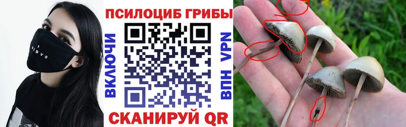 Псилоцибиновые грибы GOLDEN TEACHER Ардатов