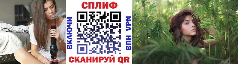 МАРИХУАНА ГИДРОПОН  Ардатов 